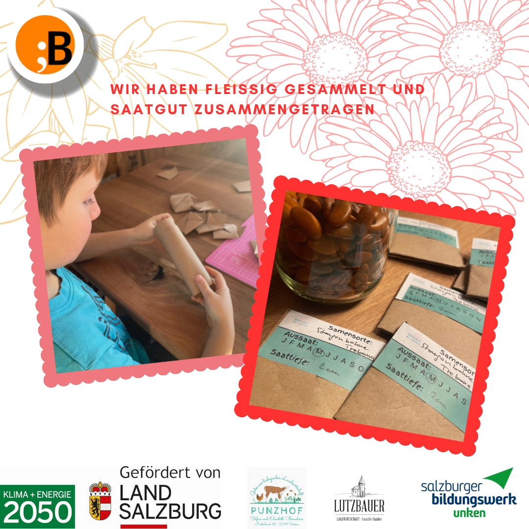 Bibliothek der Saaten 26