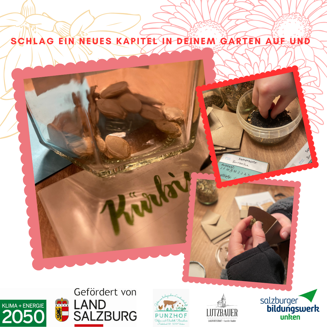 Bibliothek der Saaten 26