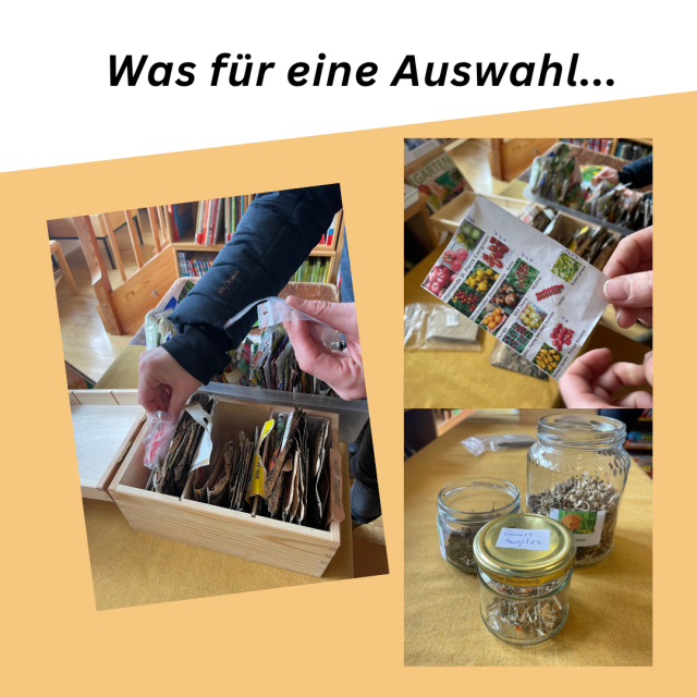 Bibliothek der Saaten 24