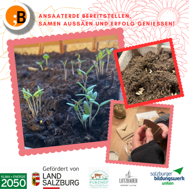 Bibliothek der Saaten 26